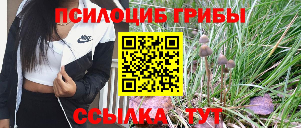 Псилоцибиновые грибы Psilocybine cubensis Асбест